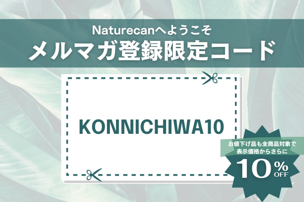 メールマガジン登録で10%OFFクーポン