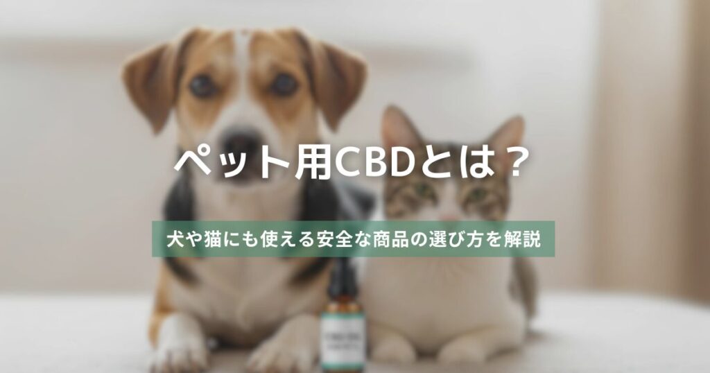 ペット用CBDとは？犬や猫にも使える安全な商品の選び方を解説　アイキャッチ画像